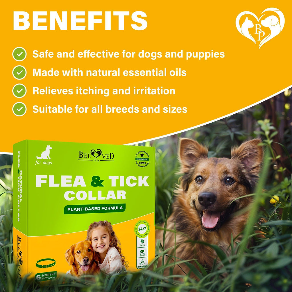 Flea and Tick Collar for Dogs 6-Month Essential Oil Repellent – photo 4 of 8