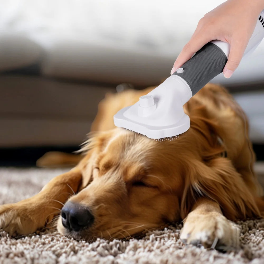 Pet Grooming Dryer for Small Dog and Cat, side view