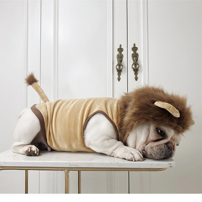 Lion Costume for Dogs & Cats – Halloween – front view