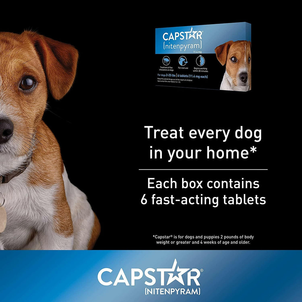 Capstar Oral Flea Treatment Dogs 2 to 25 lbs – photo 2 of 8