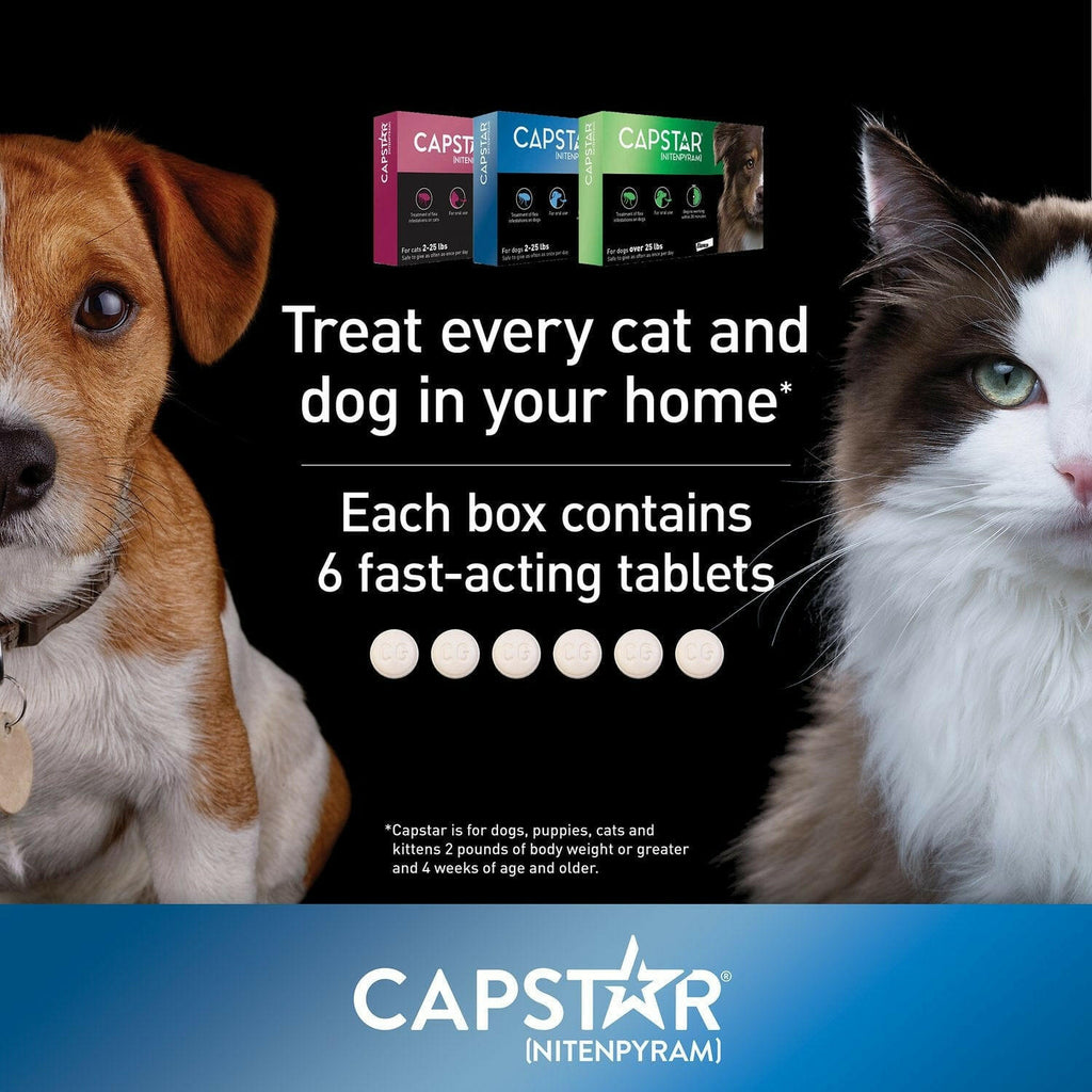 Capstar Oral Flea Treatment Dogs 2 to 25 lbs – photo 8 of 8