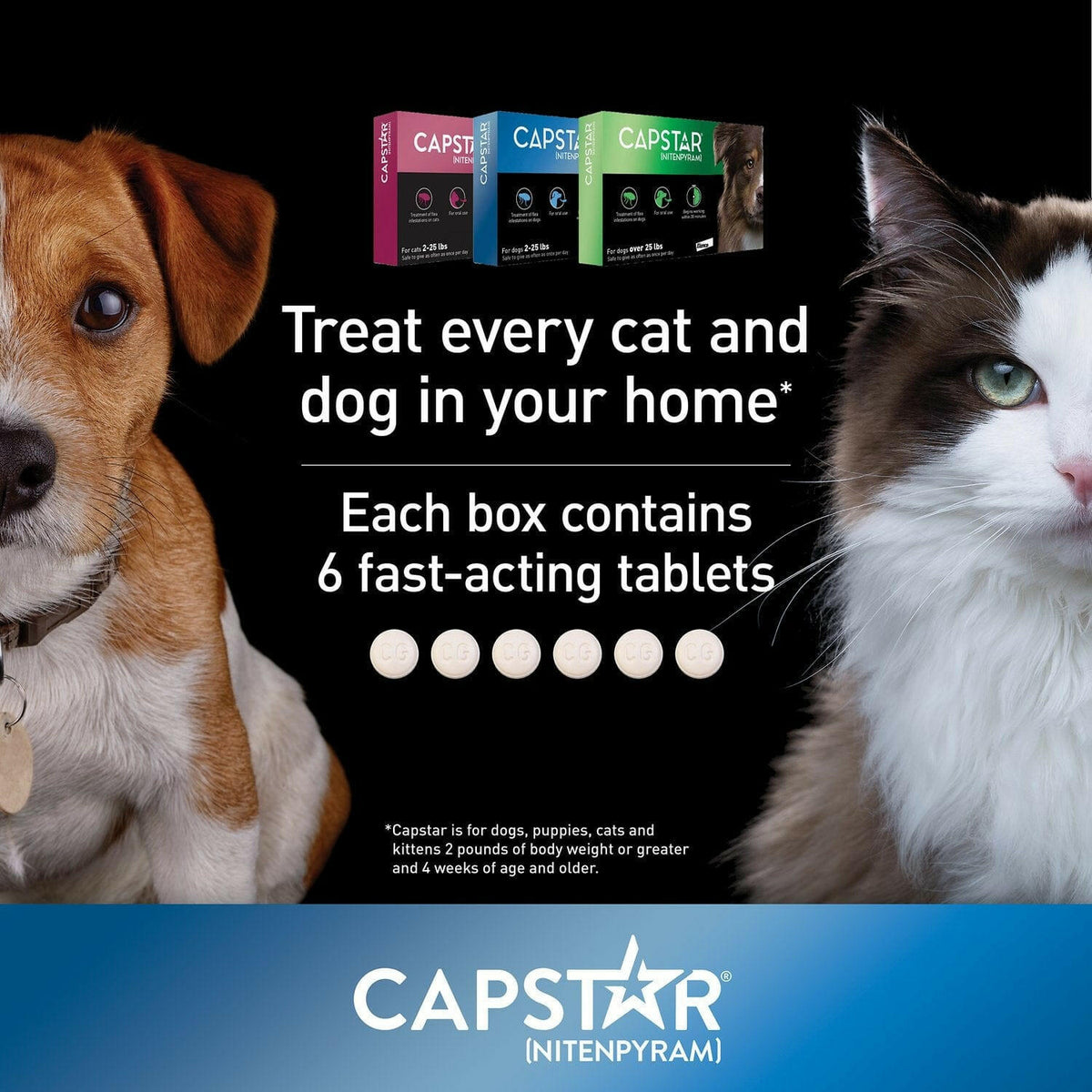 Capstar Oral Flea Treatment Dogs Over 25 lbs – photo 7 of 8