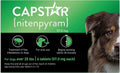 Capstar Oral Flea Treatment Dogs Over 25 lbs – photo 1 of 8