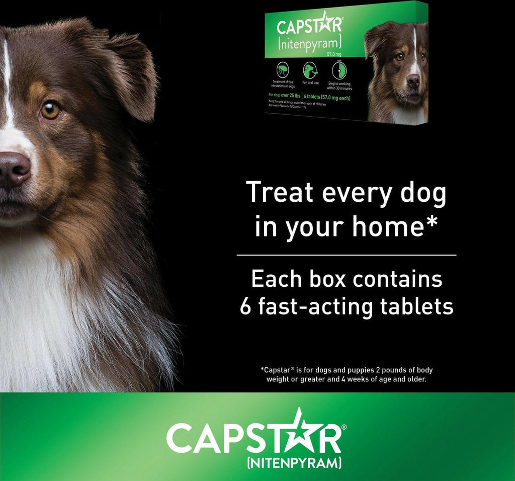 Capstar Oral Flea Treatment Dogs Over 25 lbs – photo 2 of 8
