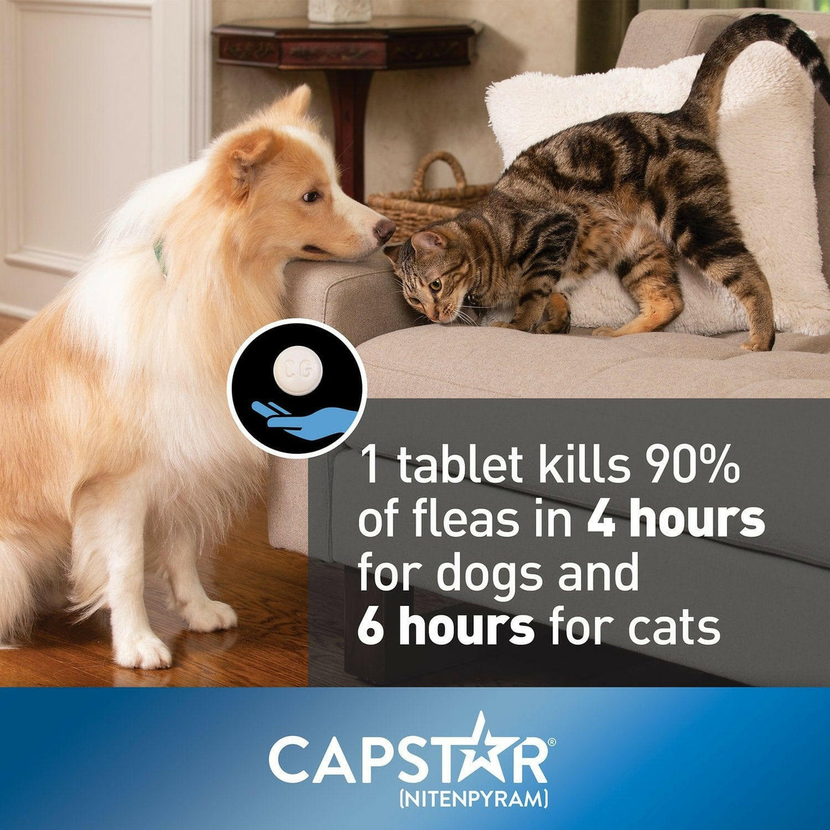 Capstar Oral Flea Treatment Dogs Over 25 lbs – photo 6 of 8