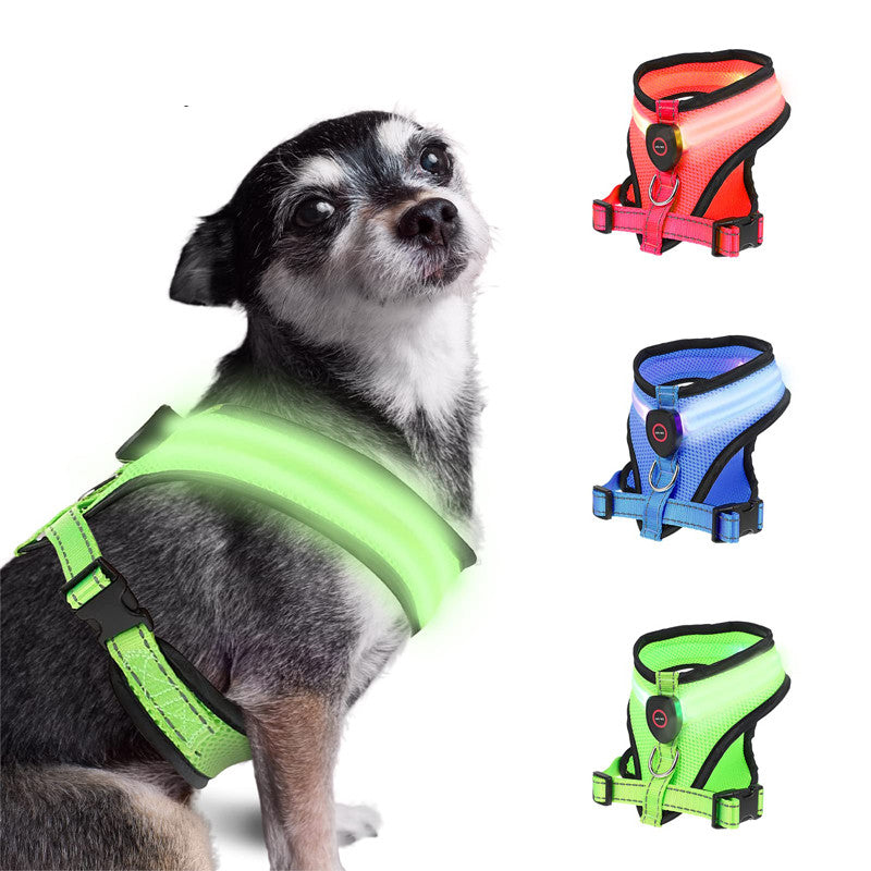 Rechargeable LED Lighted Mesh Dog Harness – front view