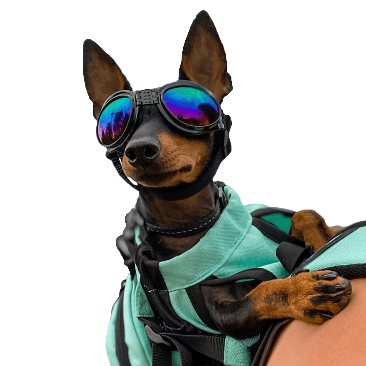 K9 Sport Shades Dog Goggles – front view