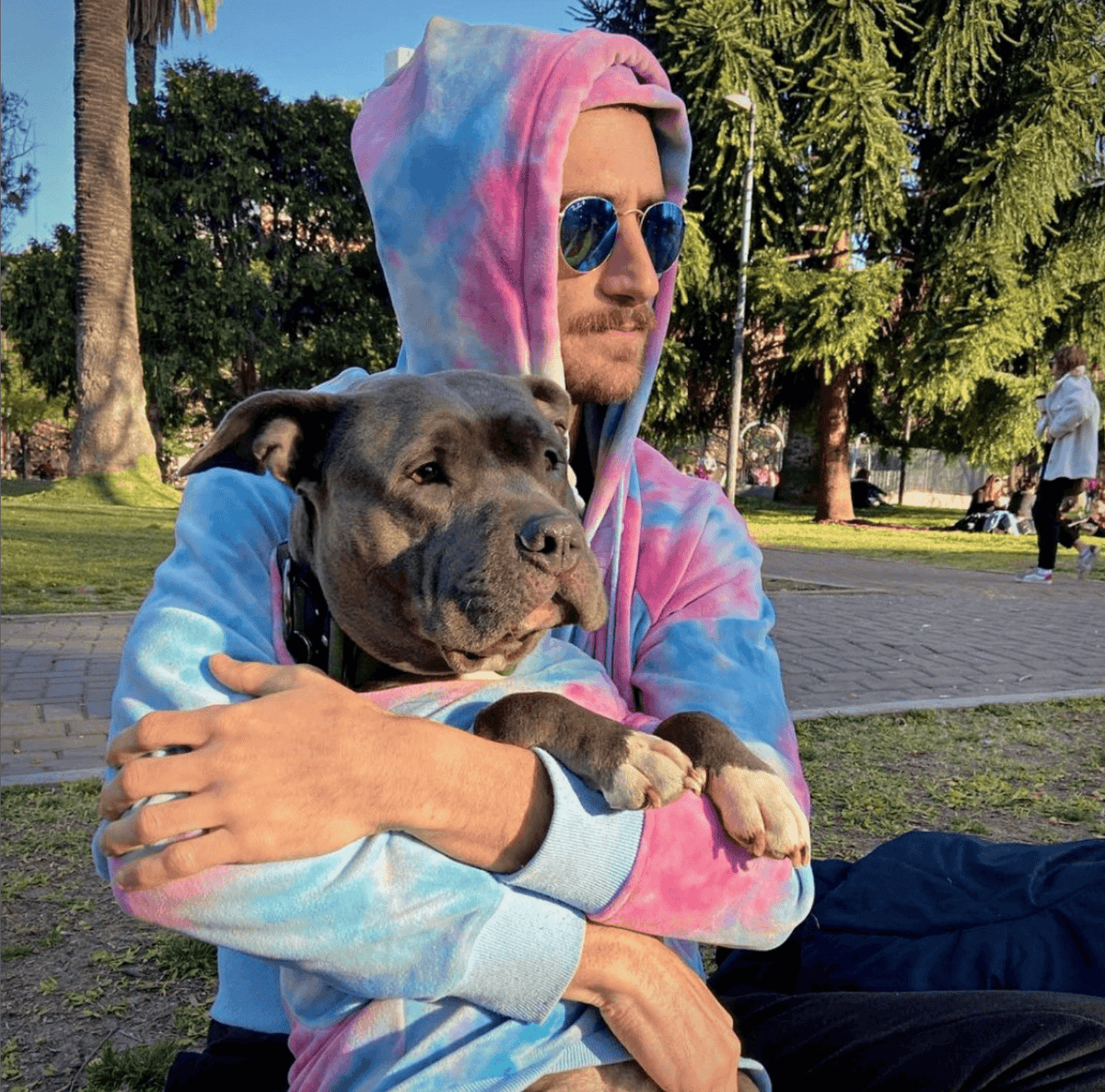 Velvet Dog Hoodie - Snow Cone – alternate view 6