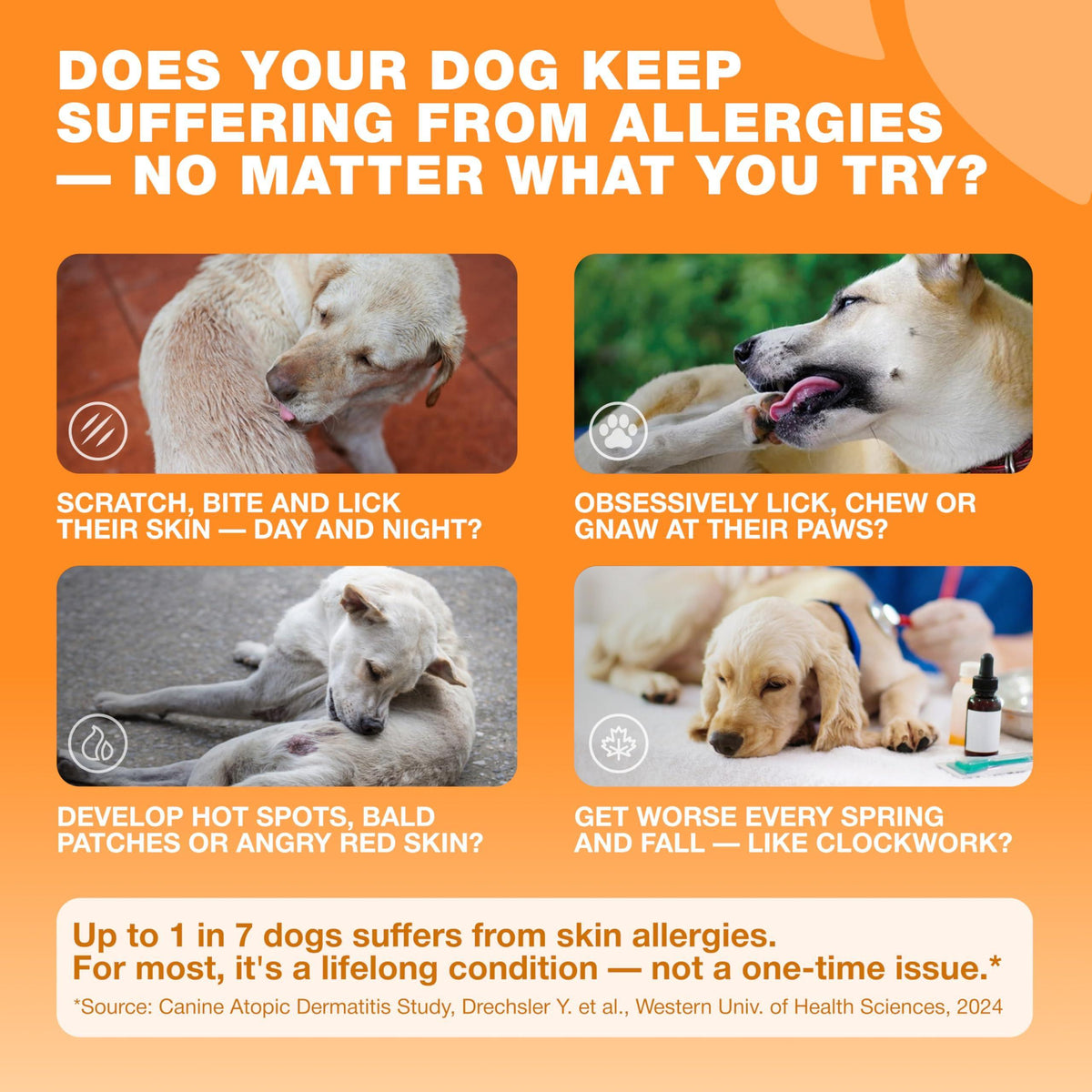 Dog allergy relief chews for itch relief, 180 count, chews close-up texture