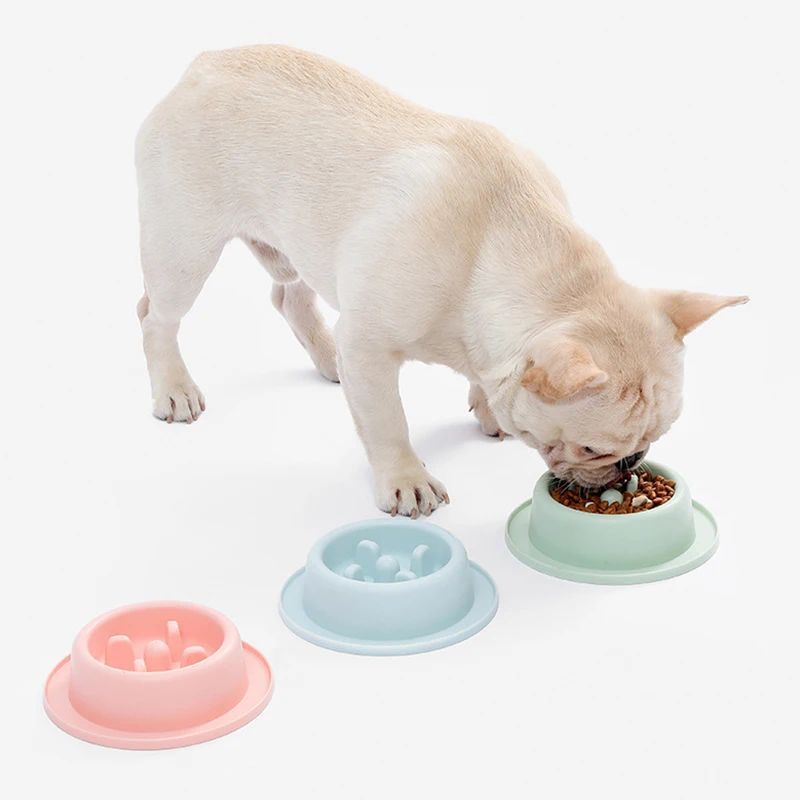 Slow Feeder Bowl for Dogs & Cats – Interactive Anti-Choking Dish – alternate view 3