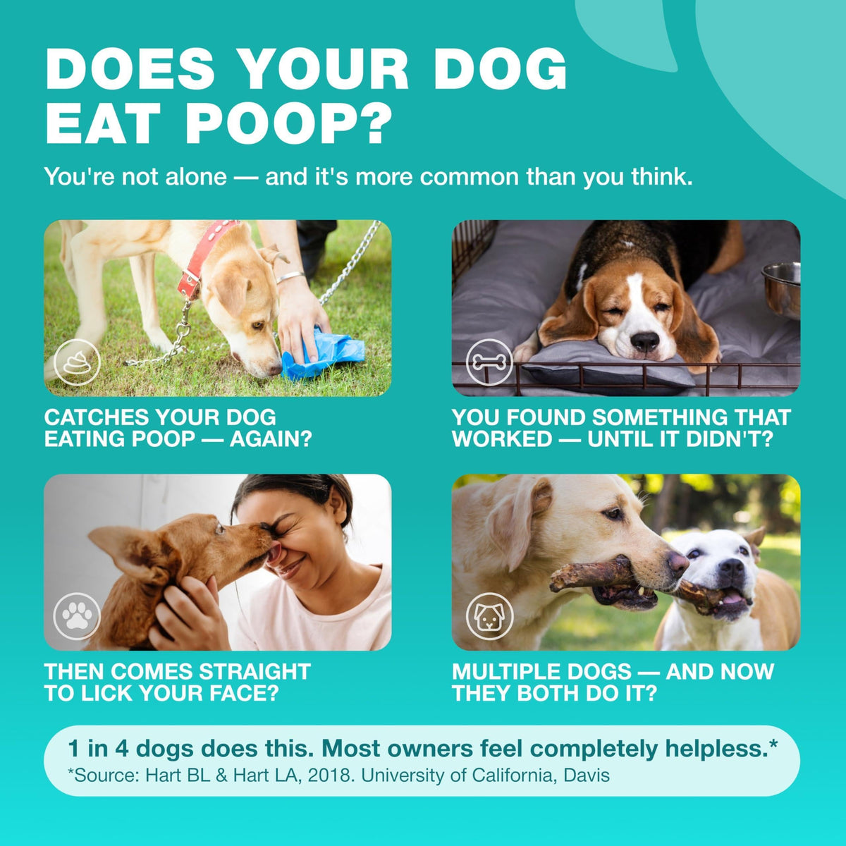 No Poo Chews for Dogs – Coprophagia Deterrent with Probiotics – alternate view 2