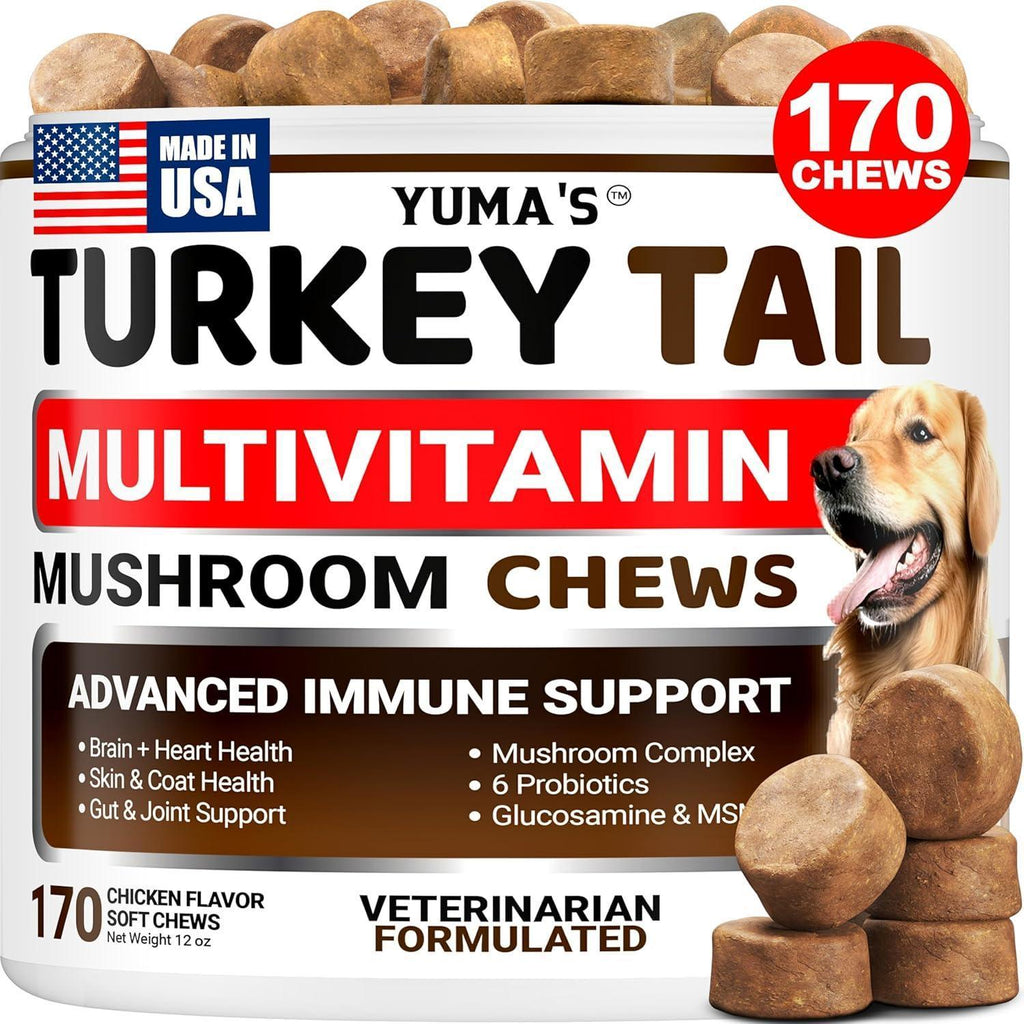 Turkey Tail mushroom blend supplement chews for dogs – photo 1 of 5