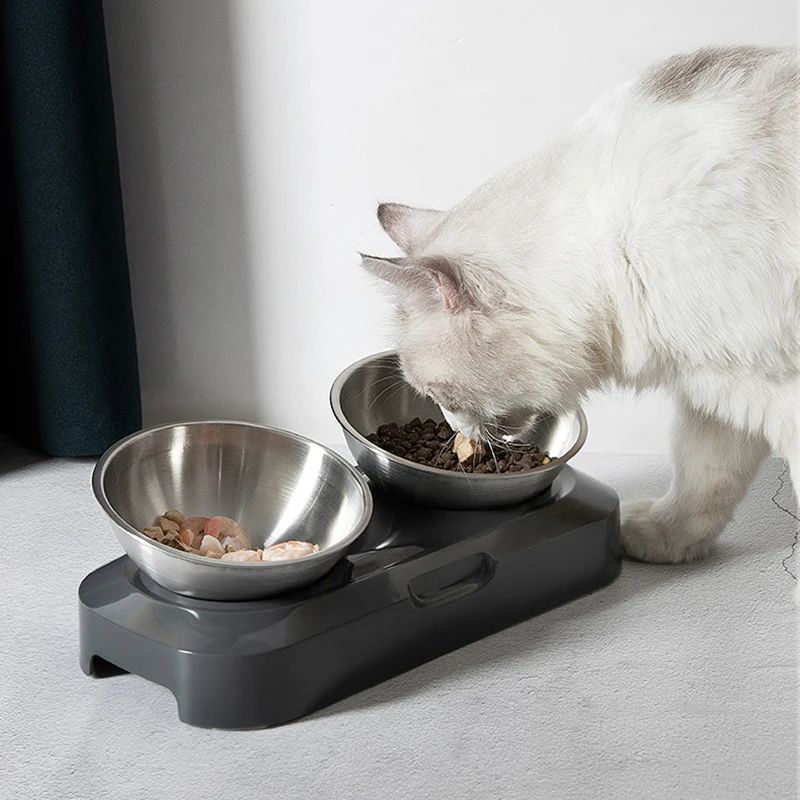 Stainless Steel Double Bowl with Stand – 15° Tilted Feeder for Dogs & Cats – alternate view 4