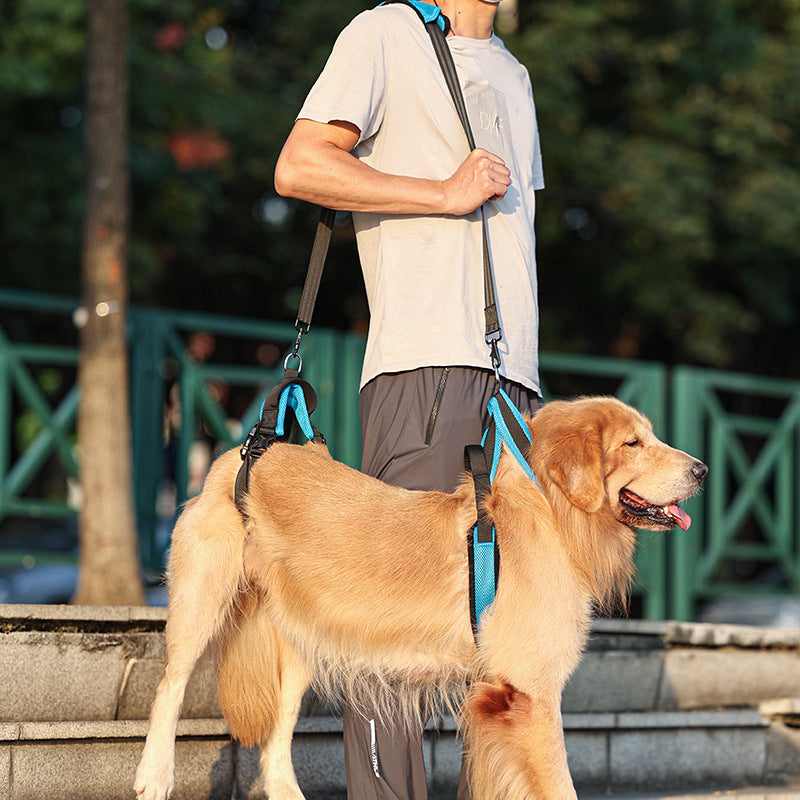 Dog Auxiliary Strap Polyester Hand-Holding Rope Blue – photo 1 of 6