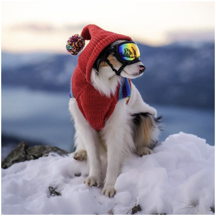 Vintage Ski Hoodie Dog Sweater Retro Rainbow – photo 4 of 6