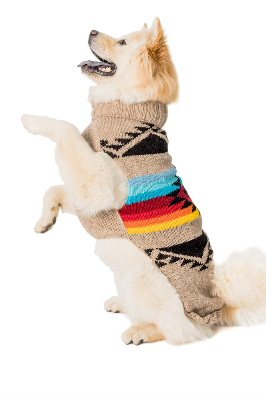 Painted Desert Dog Sweater Arizona Canyon Colors – photo 3 of 7