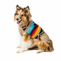 Painted Desert Dog Sweater Arizona Canyon Colors – photo 1 of 7