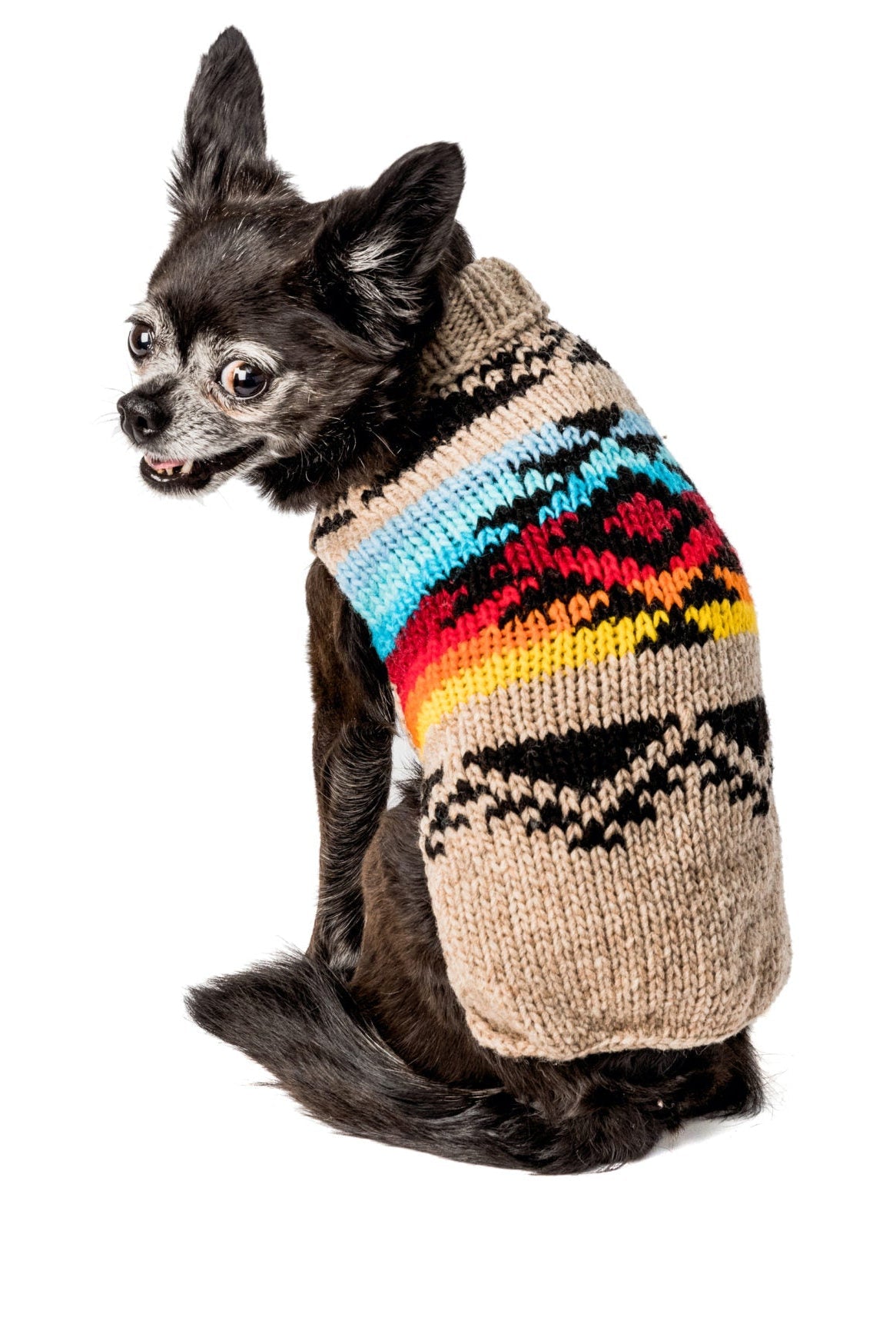 Painted Desert Dog Sweater Arizona Canyon Colors – photo 4 of 7