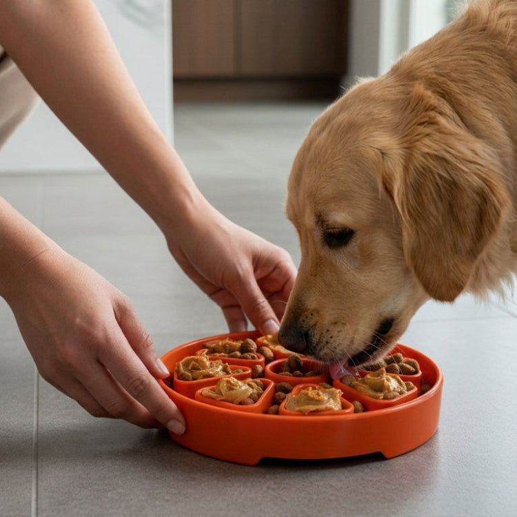 SodaPup Citrus Softie eTray – Shallow Slow Feeder Dog Bowl, USA Made – alternate view 3