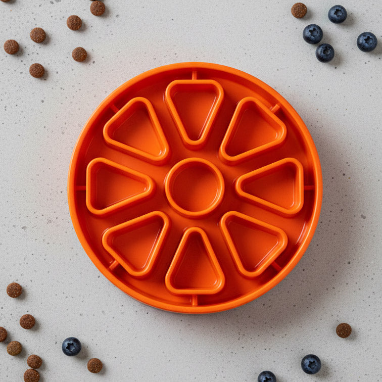SodaPup Citrus Softie eTray – Shallow Slow Feeder Dog Bowl, USA Made – alternate view 5