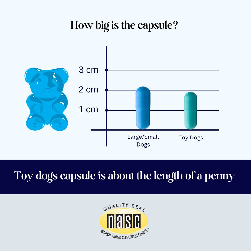 CogniCaps Canine Cognitive Function Supplement for Dogs – photo 6 of 8