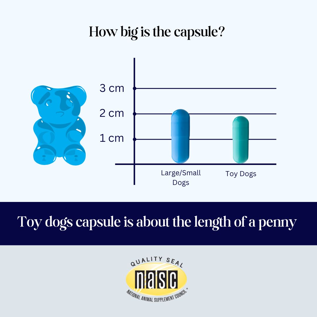 CogniCaps Canine Cognitive Function Supplement for Dogs – photo 6 of 8
