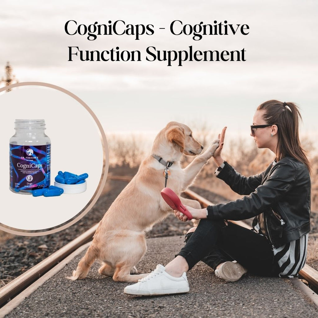 CogniCaps Canine Cognitive Function Supplement for Dogs – photo 1 of 8