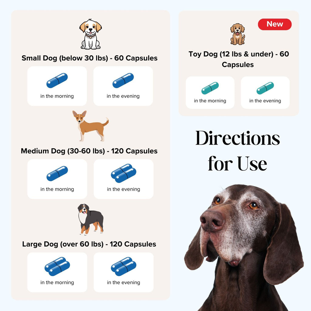 CogniCaps Canine Cognitive Function Supplement for Dogs – photo 7 of 8