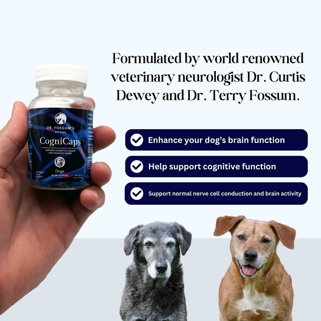 CogniCaps Canine Cognitive Function Supplement for Dogs – photo 5 of 8
