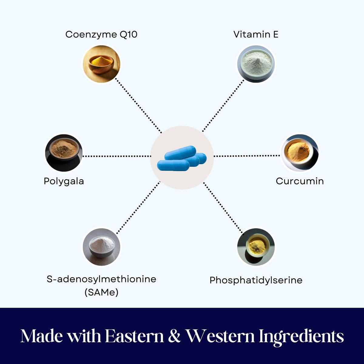 CogniCaps Canine Cognitive Function Supplement for Dogs – photo 4 of 8