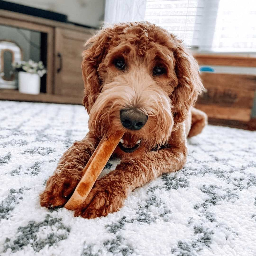 100% Yak Milk Chews for Dogs – alternate view 4