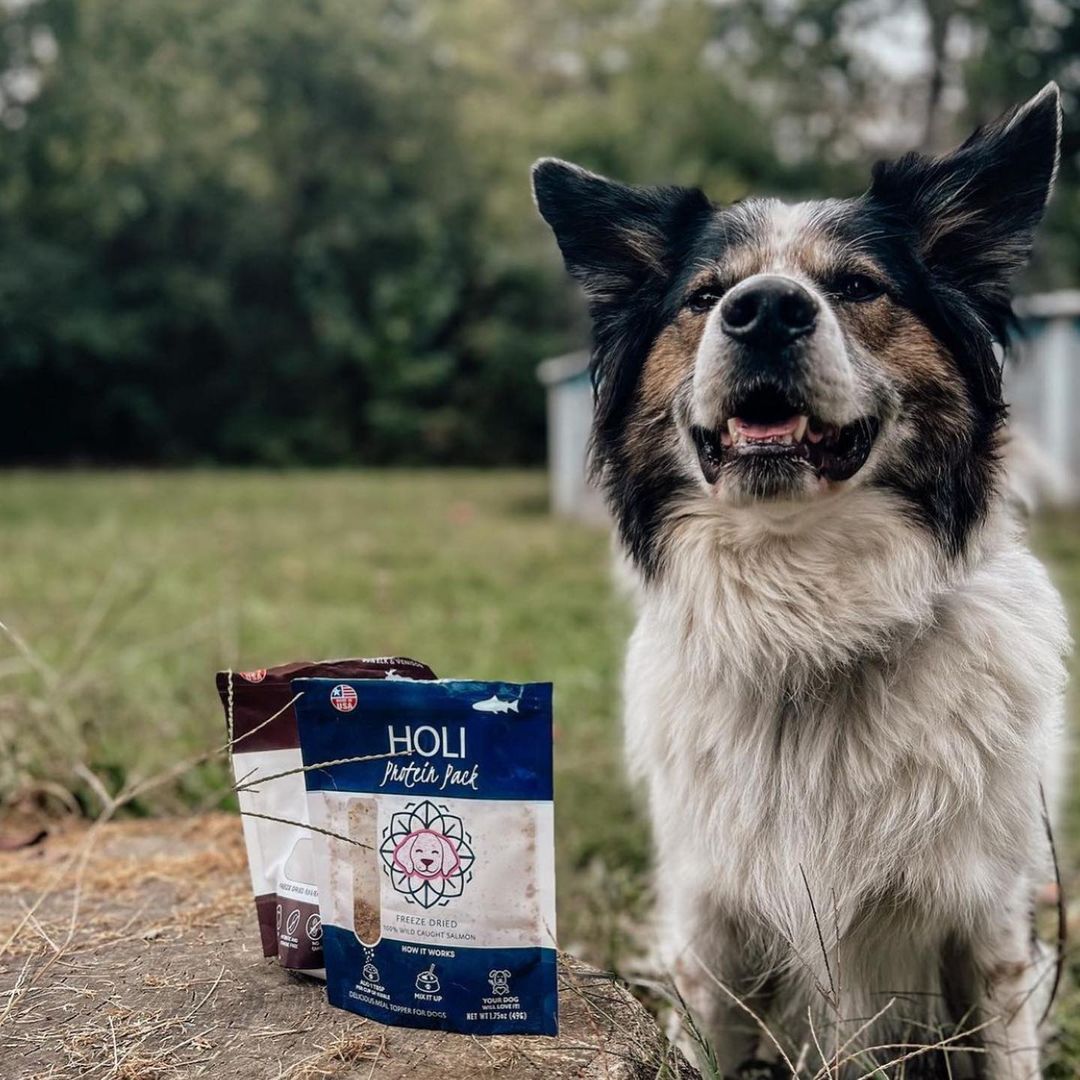 HOLI free-range elk and venison freeze-dried dog treats – photo 8 of 9