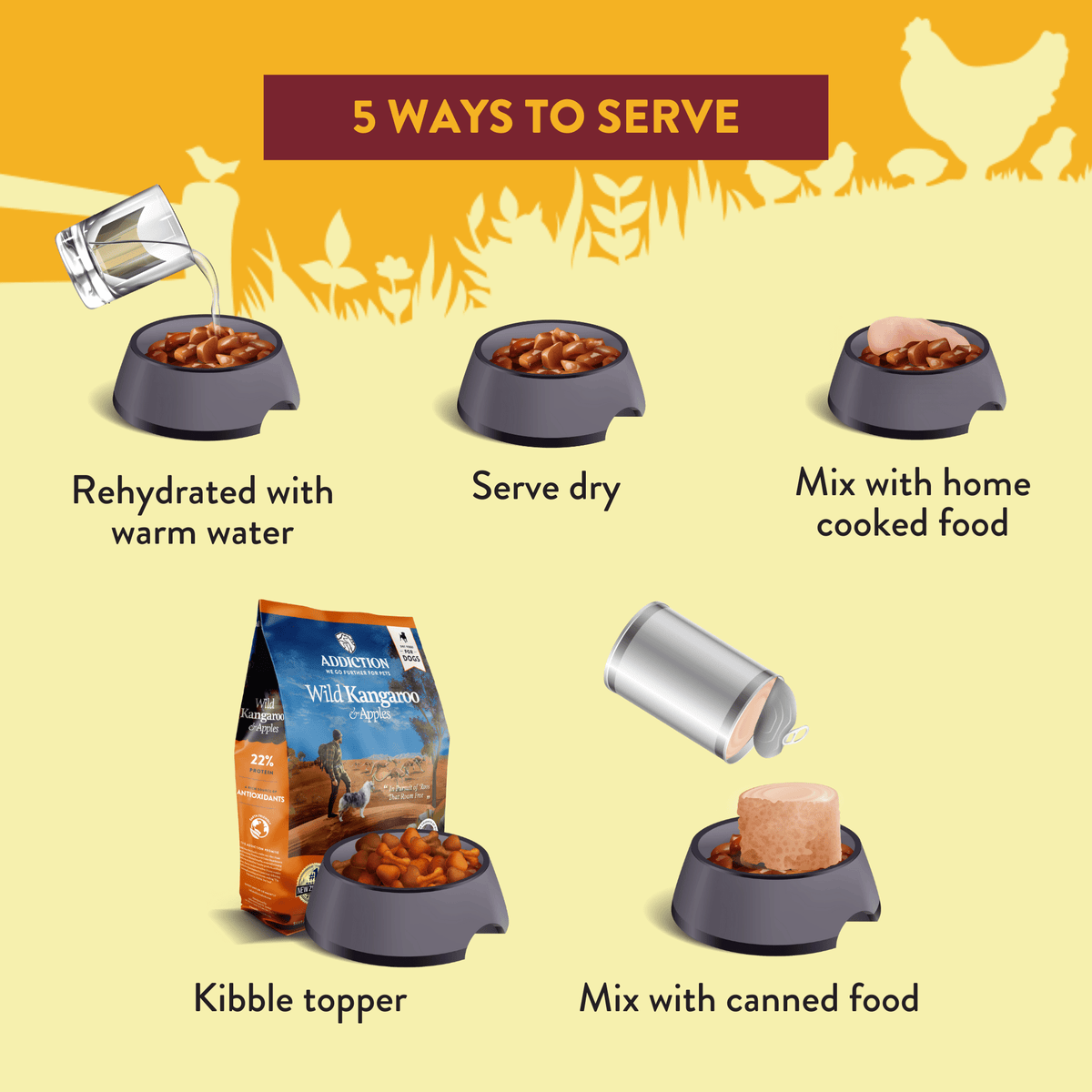 Country Chicken & Apricot Air-Dried Dog Food – alternate view 3