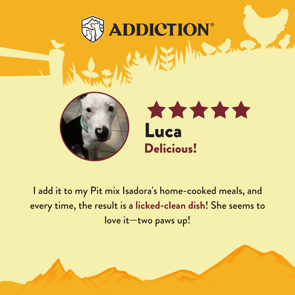 Country Chicken & Apricot Air-Dried Dog Food – alternate view 8