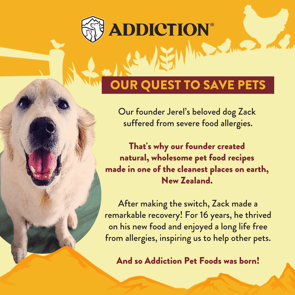Country Chicken & Apricot Air-Dried Dog Food – alternate view 9