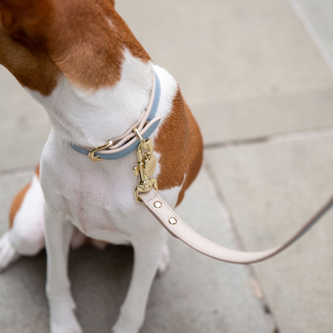 Leash 4ft Vegan Leather Cupertino, view 12