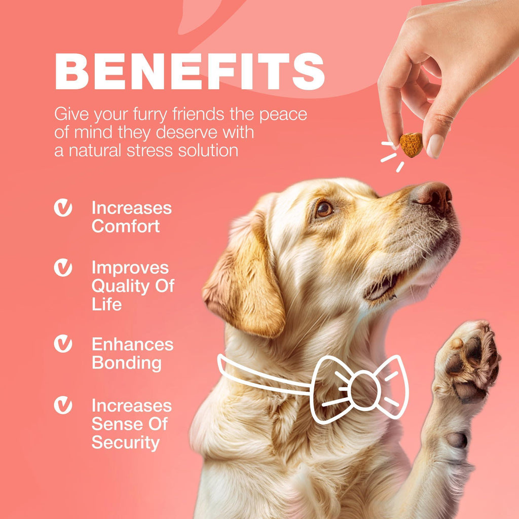 Flea and Tick Support Chews for Dogs Natural Soft Chews – photo 8 of 9