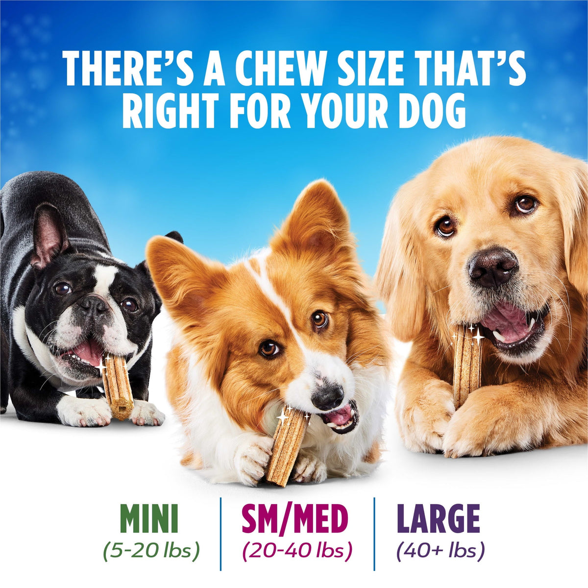 Purina Daily Oral Care Large Dog Treats Dental Chews with Chicken, close-up
