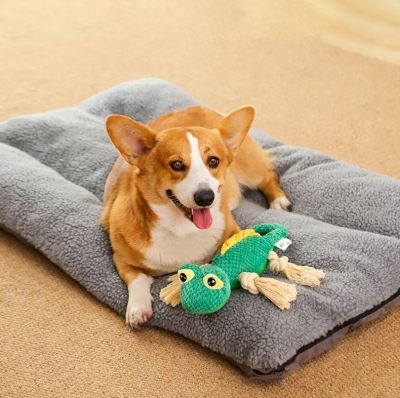 Bite-Resistant Squeaky Dog Toy – Molar Chew, Puppy – front view