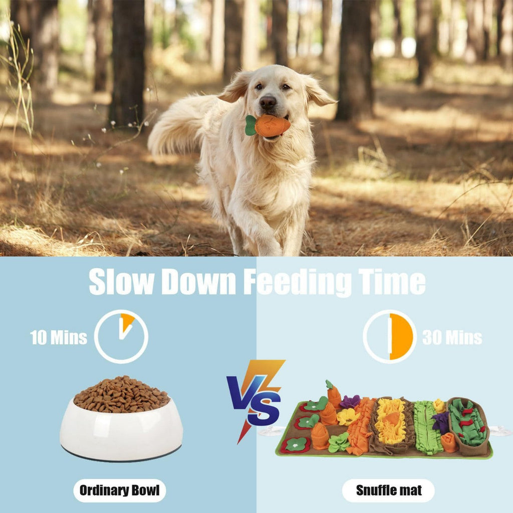 Carrot Snuffle Mat, Interactive Foraging Toy For Dogs – alternate view 3
