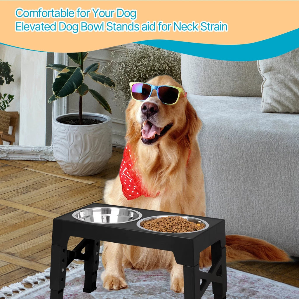 Top 10 Elevated Dog Bowl Stands with Stainless Steel Dishes, side view