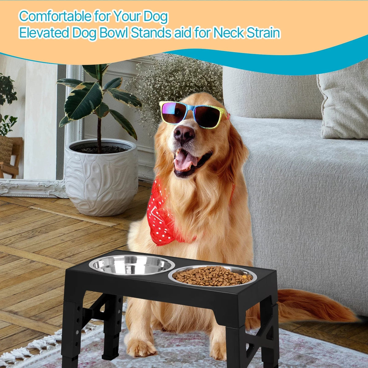 Top 10 Elevated Dog Bowl Stands with Stainless Steel Dishes, side view