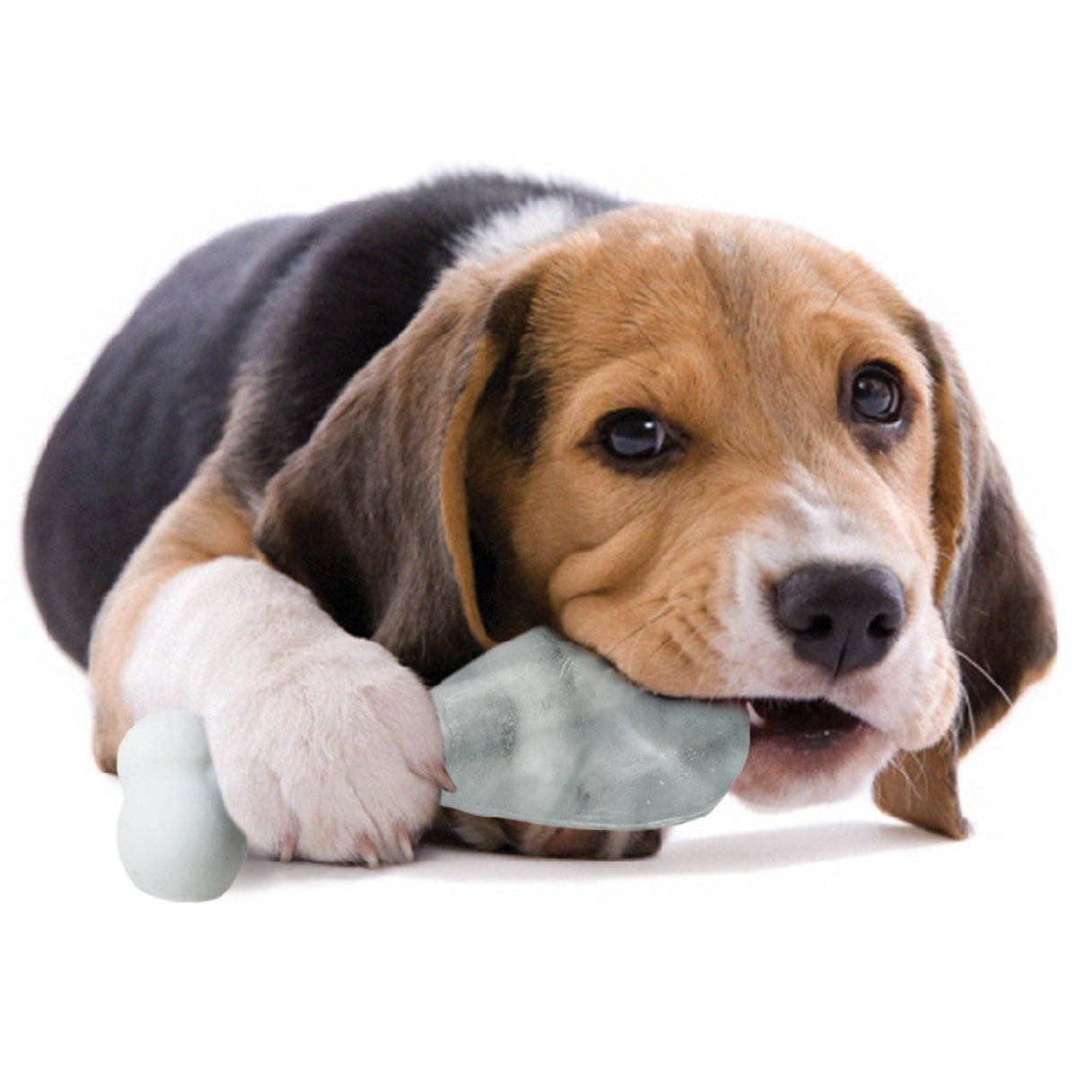 Pupsicle Ice Lolly Maker for Dogs – alternate view 3