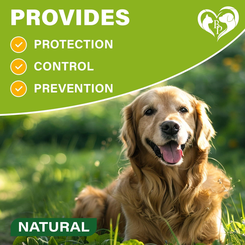Flea and Tick Collar for Dogs 6-Month Essential Oil Repellent – photo 5 of 8