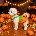 Pumpkin Dog Costume Dress for Small Dogs – front view