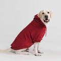 Essential Dog Hoodie - Burgundy – front view