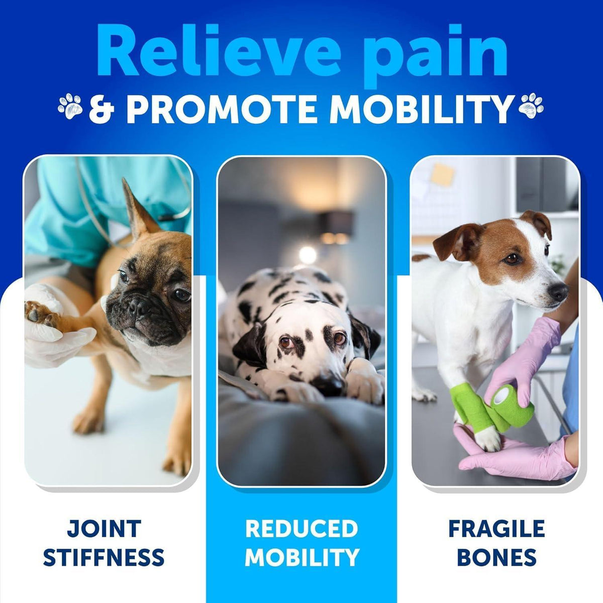 Hip and joint supplement chews for dogs with glucosamine – duck flavor soft chews – photo 3 of 7