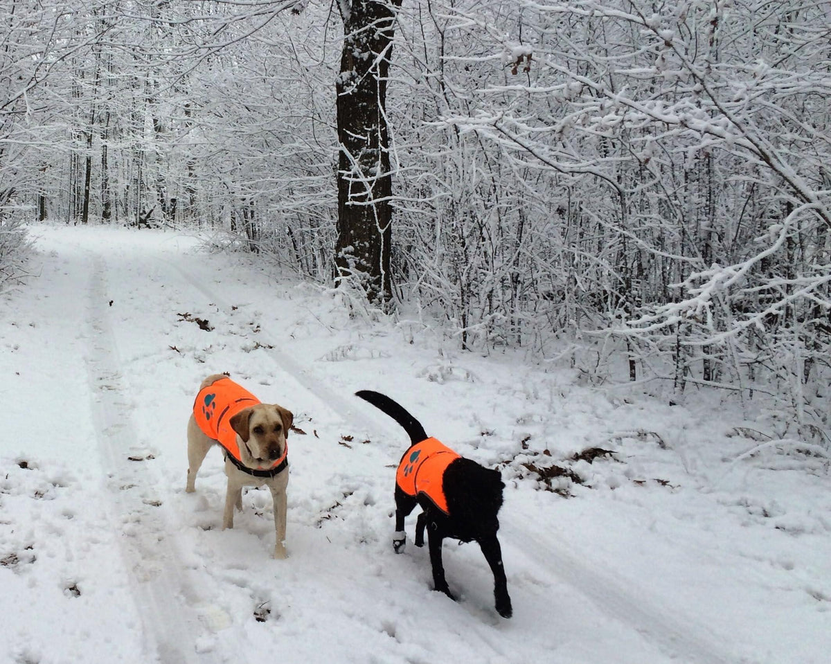 SafetyPUP Reflective Dog Vest L Blaze Orange – photo 8 of 8