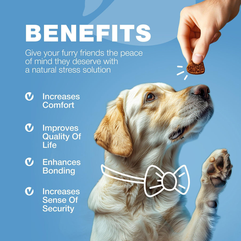 Hemp Calming Chews for Dogs L-Theanine Chamomile Beef Flavor – photo 9 of 9