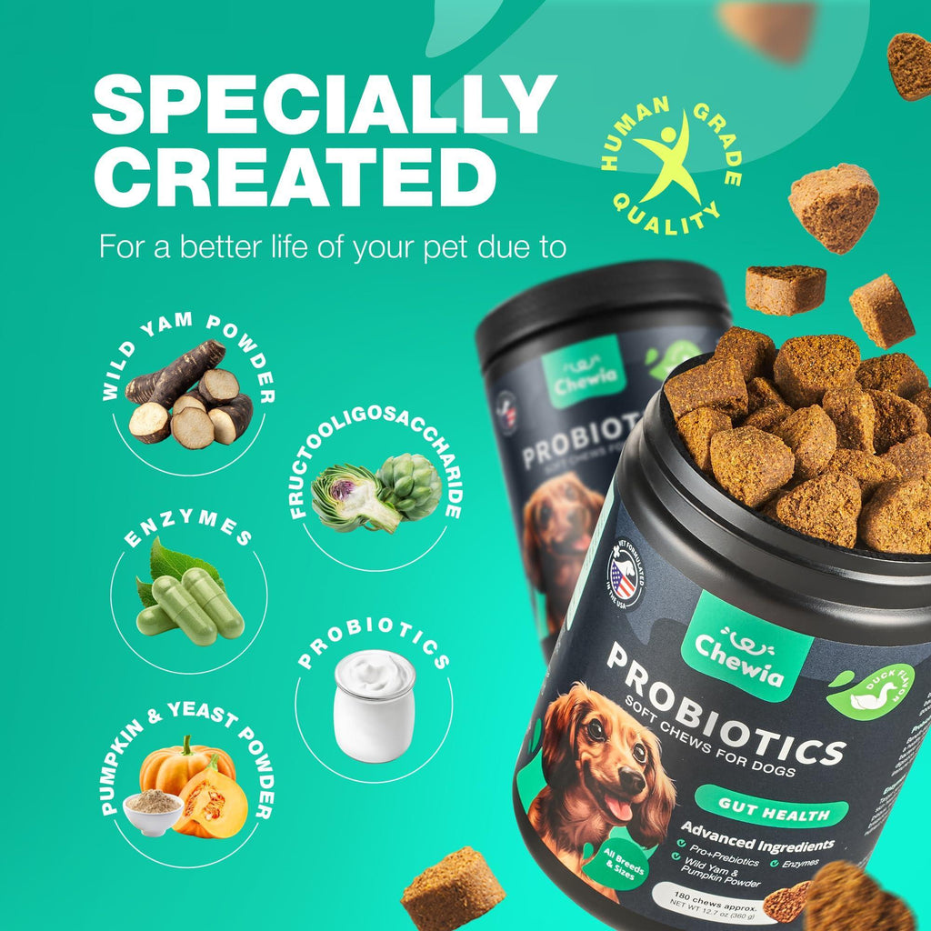 Probiotics for Dogs Digestive Support Pumpkin and Enzymes – photo 4 of 8